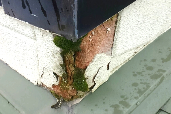 外壁材の剥離と苔|外壁塗装・屋根塗装のことなら福岡市・糸島市のエコテックス