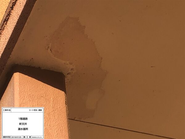 外壁・屋根塗装の現地調査で発見した軒天井の漏水箇所｜エコテックス