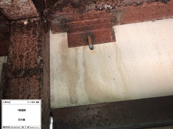 外壁・屋根塗装の現地調査で発見した雨漏れによる鉄骨のサビと雨漏れ跡｜エコテックス