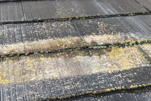 屋根塗装しないとどうなる？苔・藻の大量発生|外壁塗装・屋根塗装のことなら福岡市・糸島市のエコテックス